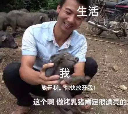 漂亮警告是什么梗 漂亮警告是什么意思