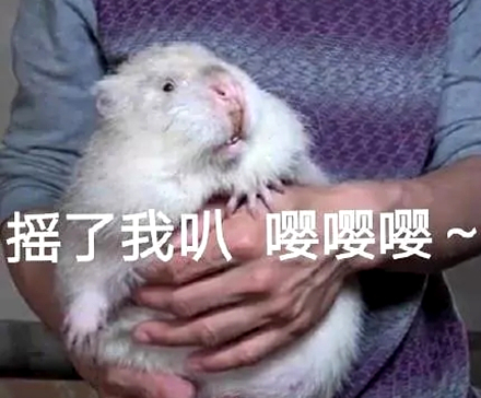 漂亮警告是什么梗 漂亮警告是什么意思