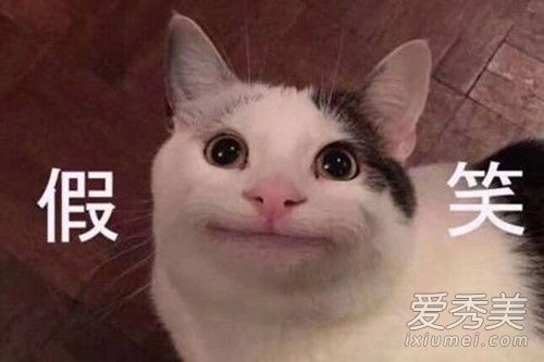 强推之耻是什么意思 强推之耻是什么梗