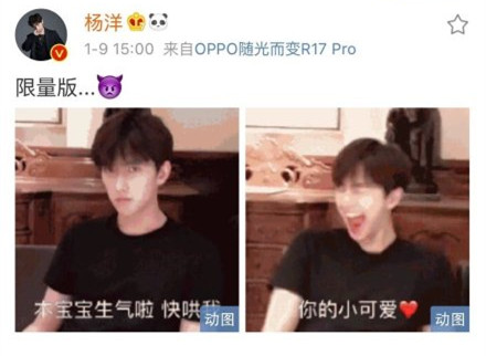 杨洋杨秤砣是什么梗 杨洋为什么叫杨秤砣