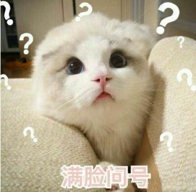 网络用语bot是什么意思 微博repo是什么意思