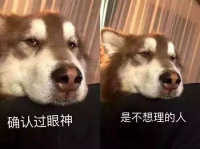 抖音盘它是什么梗 盘它什么意思