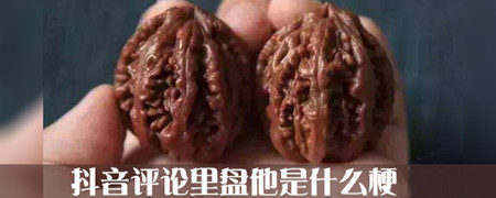 抖音盘它是什么梗 盘它什么意思