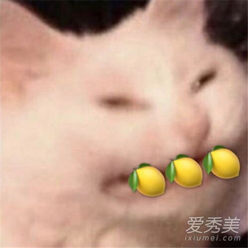 柠檬精是什么梗 人类的本质为什么是柠檬精