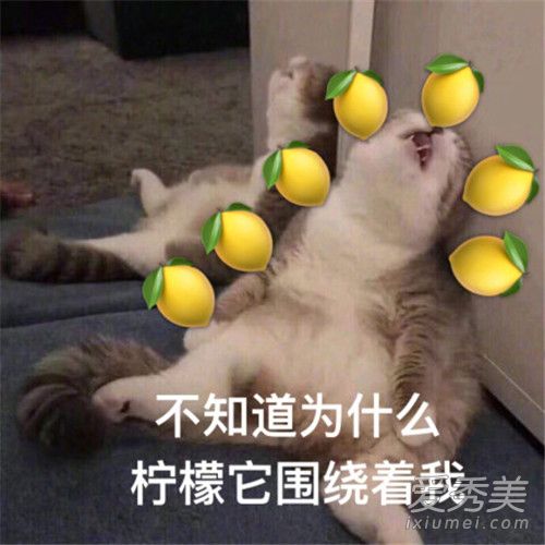 柠檬精是什么梗 人类的本质为什么是柠檬精