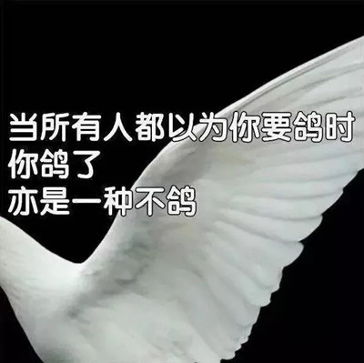 人类的本质是鸽子什么梗什么意思 人类的本质是鸽子源来