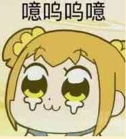 女生说1551是什么意思 1551是什么梗