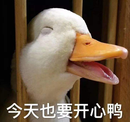 今天也要开心鸭是什么意思 今天也要开心鸭是什么梗