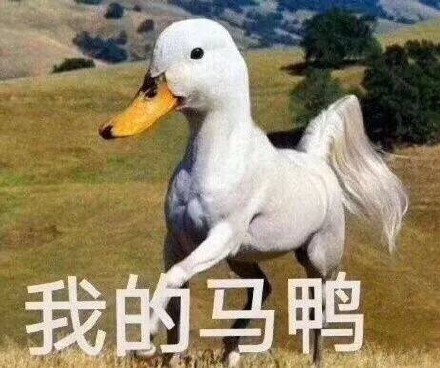 今天也要开心鸭是什么意思 今天也要开心鸭是什么梗