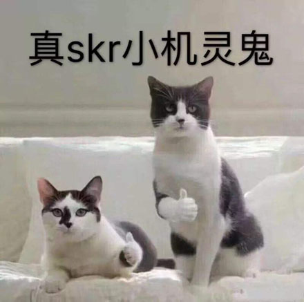 你真是个小机灵鬼是什么意思 你真是个小机灵鬼出处