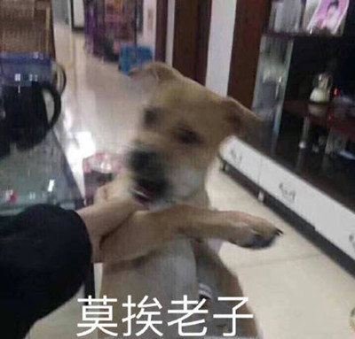 莫挨老子是什么梗 莫挨老子什么意思表情包无水印