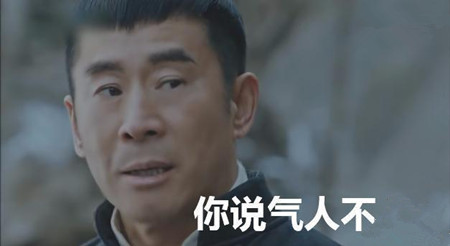 你说气人不什么梗 你说气人不什么意思