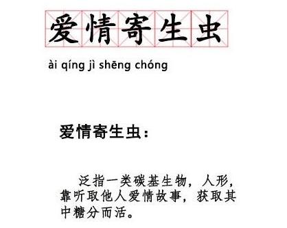 爱情寄生虫是什么意思 爱情寄生虫是什么梗
