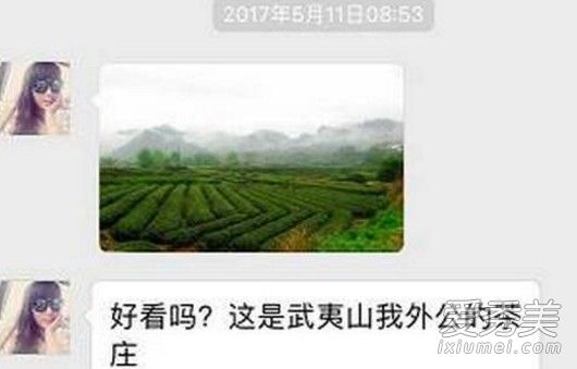 段子上卖茶叶什么梗 抖音评论卖茶叶什么意思