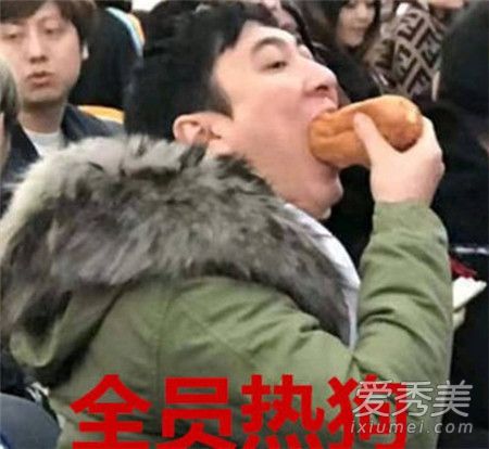 王思聪吃热狗头像怎么火的 王思聪吃热狗头像表情包无水印图片