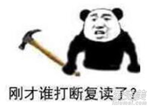 人类的本质是什么梗 人类的本质为什么是复读机