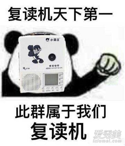 人类的本质是什么梗 人类的本质为什么是复读机