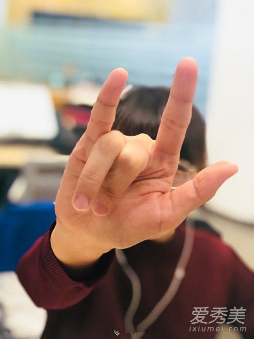 6+1手势送别李咏怎么回事 非常6+1手势什么意思