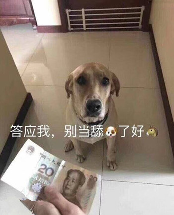 当舔狗是什么意思啊 做舔狗是什么意思