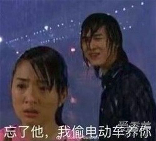 偷电瓶车养你什么梗 偷电瓶车养你表情包