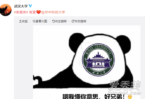 官宣体是什么梗 官宣体是什么意思