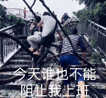 我是自愿上班的是什么梗 我是自愿上班出处在哪