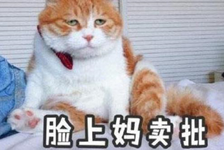 mmp是什么意思 mmp是哪里的方言