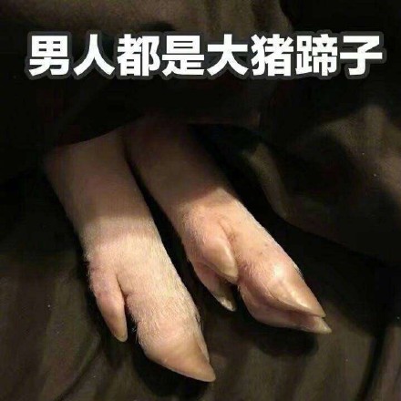 大猪蹄子什么意思 大猪蹄子出处