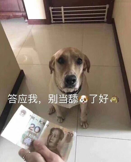 舔狗是什么意思 舔狗是什么梗