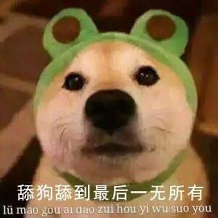 舔狗是什么意思 舔狗是什么梗