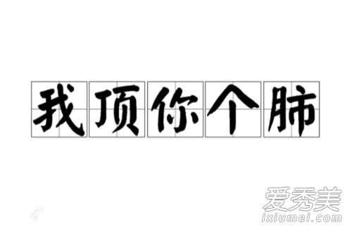我顶你个肺是什么意思 我顶你个肺是什么梗