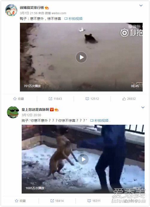 惊不惊喜意不意外发展经历 惊不惊喜意不意外是什么梗