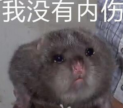 华农兄弟是什么梗 华农兄弟竹鼠中暑是什么意思