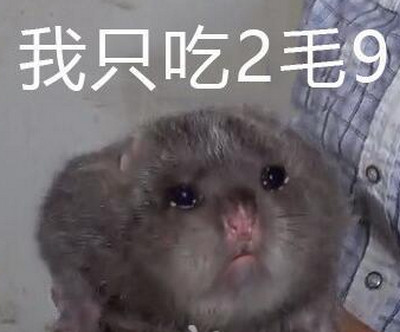华农兄弟是什么梗 华农兄弟竹鼠中暑是什么意思