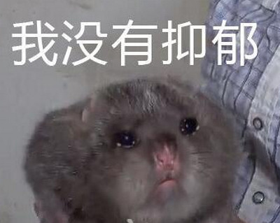 华农兄弟是什么梗 华农兄弟竹鼠中暑是什么意思