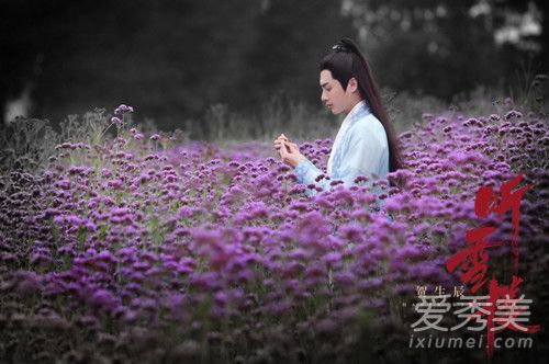 听雪楼迦若到底喜欢谁 听雪楼迦若结局是什么