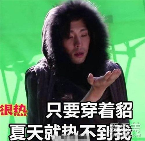 貂哥寻妻是什么梗 貂哥寻妻什么意思