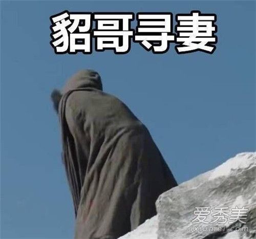 貂哥寻妻是什么梗 貂哥寻妻什么意思