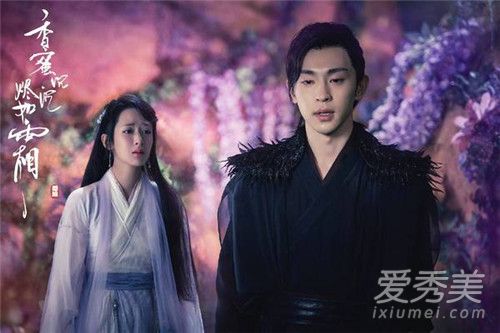 貂哥寻妻是什么梗 貂哥寻妻什么意思