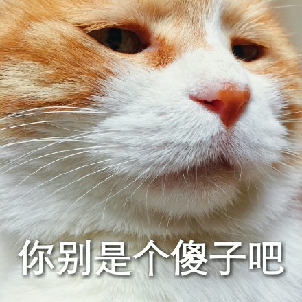 你别是个傻子吧是什么意思 你别是个傻子吧是什么梗