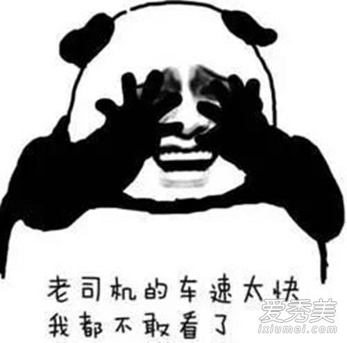 海的味道我知道是什么梗 海的味道我知道是什么意思