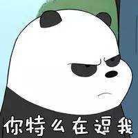 bum是什么梗 网络用语bum是什么意思