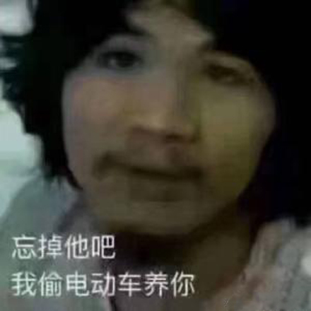 我偷电瓶车养你什么梗 我偷电瓶车养你表情包