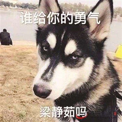 梁静茹给的勇气是什么梗 谁给你的勇气怎么接