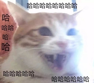 快乐瀑布是什么梗 快乐瀑布是什么意思