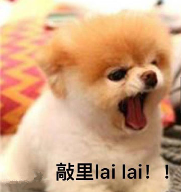 敲里吗是什么意思 敲里吗是什么梗