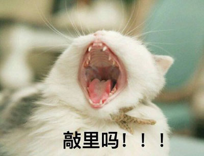 敲里吗是什么意思 敲里吗是什么梗