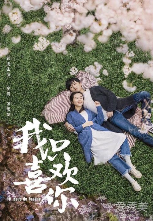 电视剧我只喜欢你是哪个小说改编的