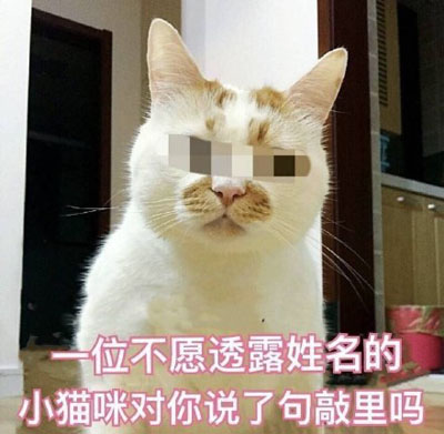敲里吗是什么意思 敲里吗是什么梗
