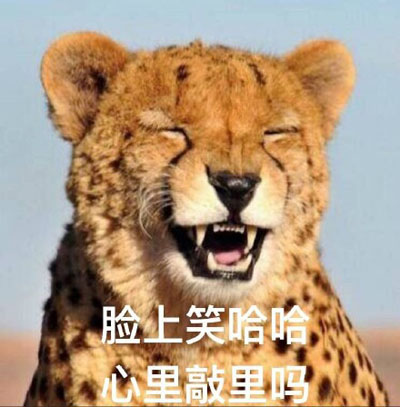 敲里吗是什么意思 敲里吗是什么梗